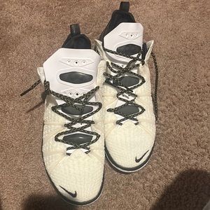 lebrons shoes